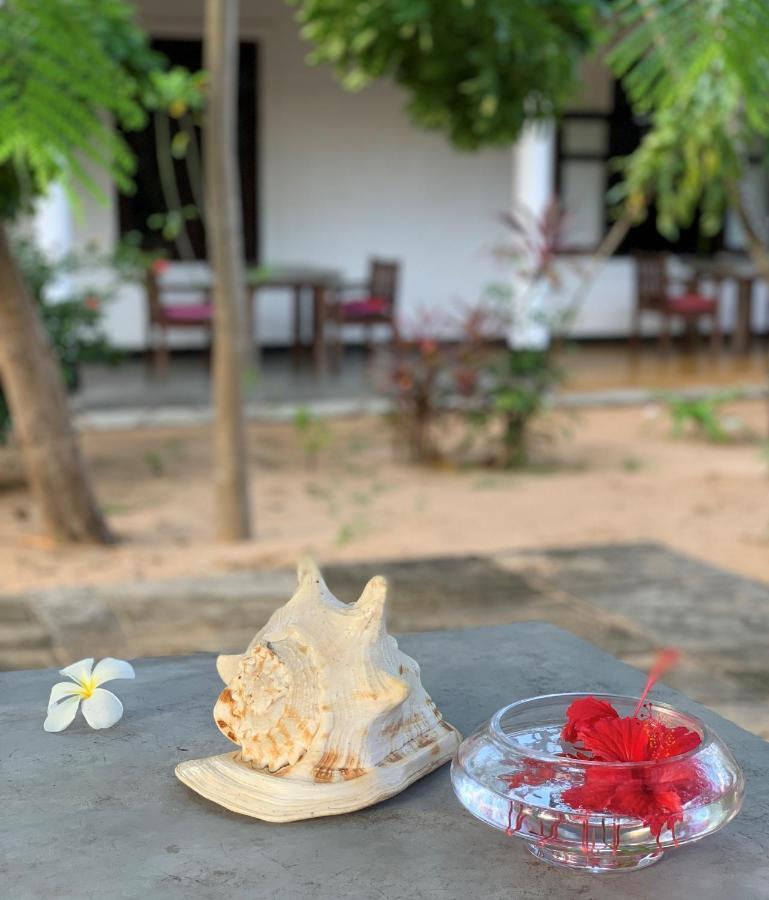 丹麦别墅 阿鲁甘湾 外观 照片