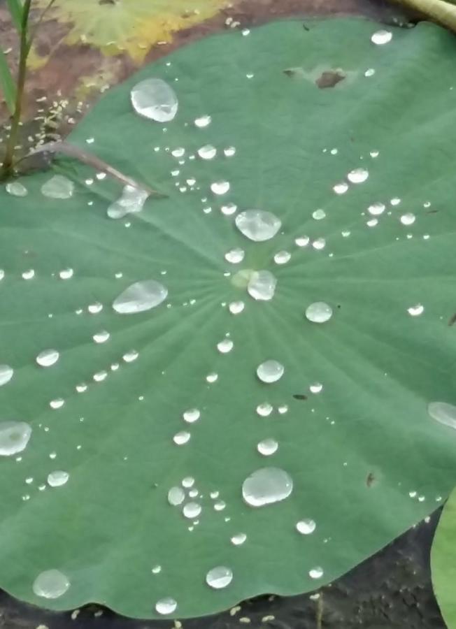 丹麦别墅 阿鲁甘湾 外观 照片